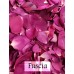$40 off 80cups/20Litres Freeze Dried Rose Petals- Outdoor garden wedding confetti decorations ideas 